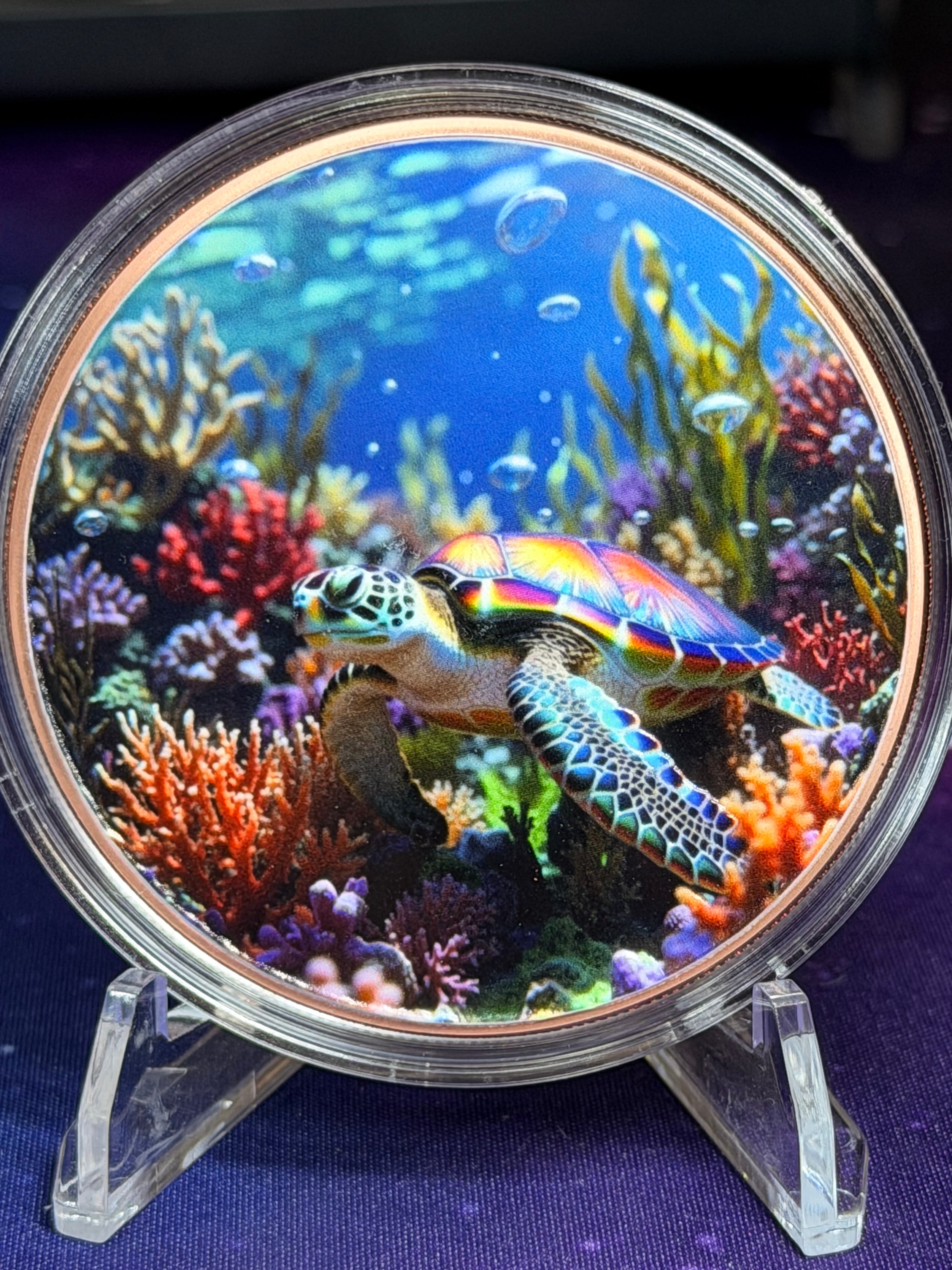 5oz Sea Turtle Colorized Copper Round